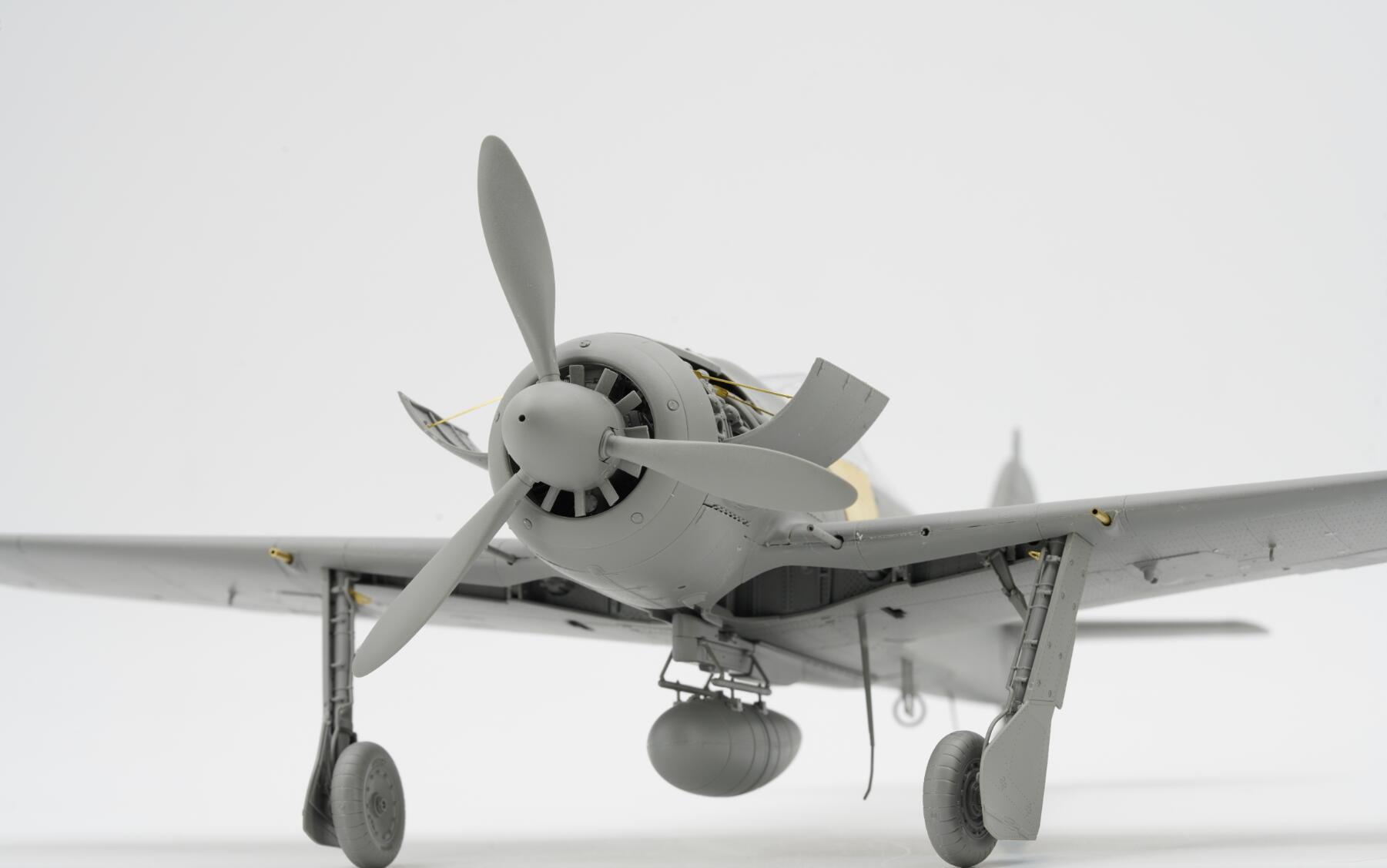 ボーダープラスチックモデルキット、BF-009, 1:35 focke-wulf fw190 A