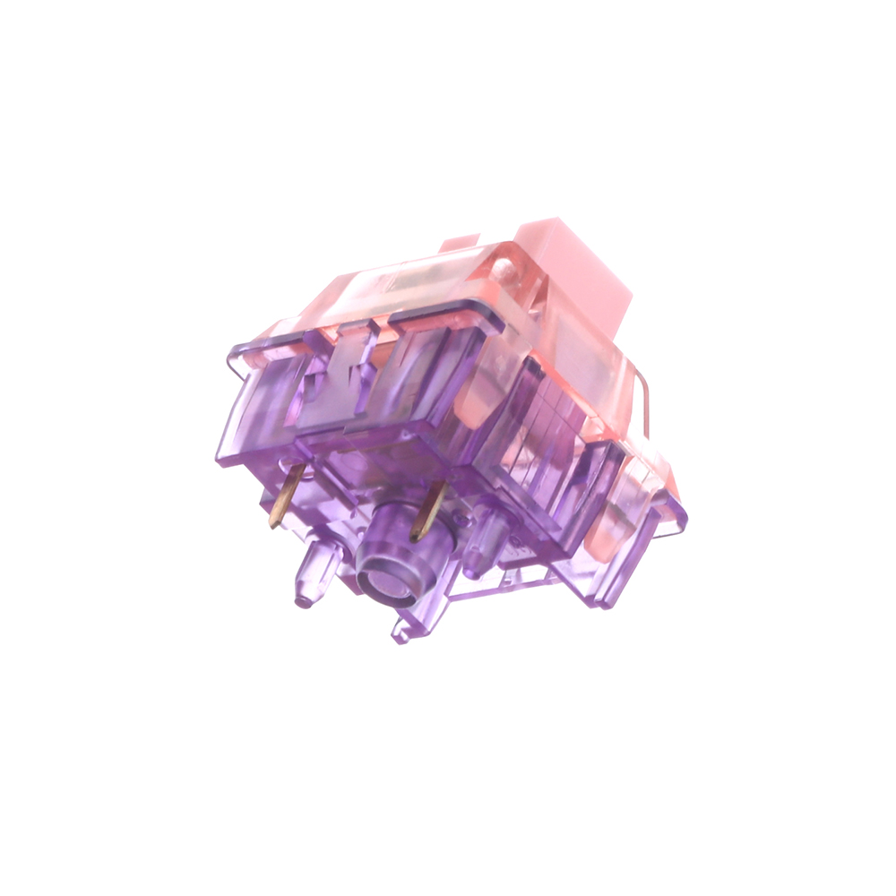 S51b279b2a3394bf79f5d14583e2ed