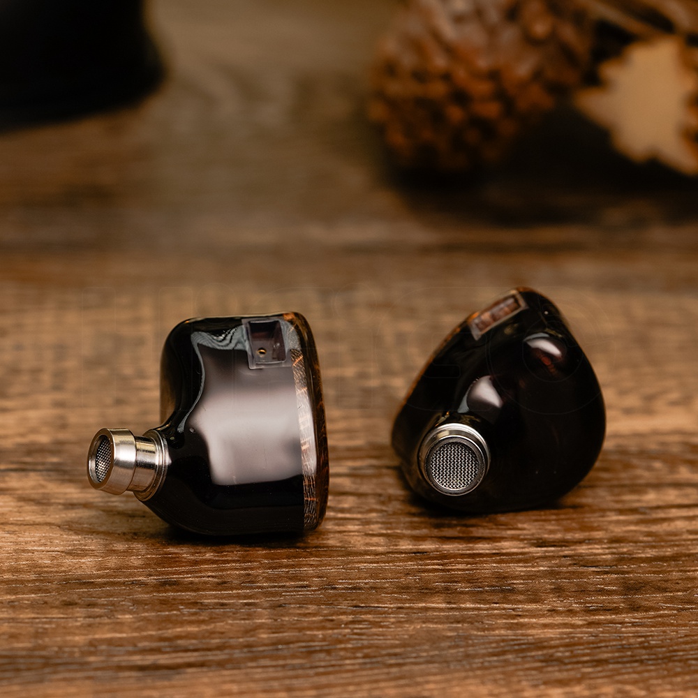 HiFiGo DUNU x Gizaudio DaVinci 2DD+4BA Hybrid In-ear Monitor