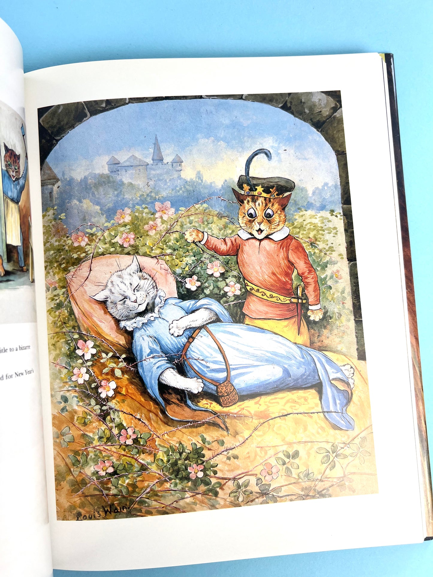 Vintage 90's Louis Wain - The Man Who Drew Cats Book – Afterall