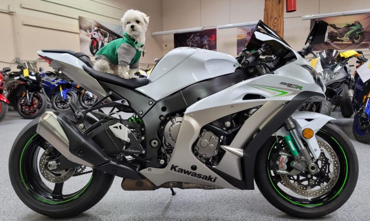 WhatsApp-Image-2021-03-25-at-3