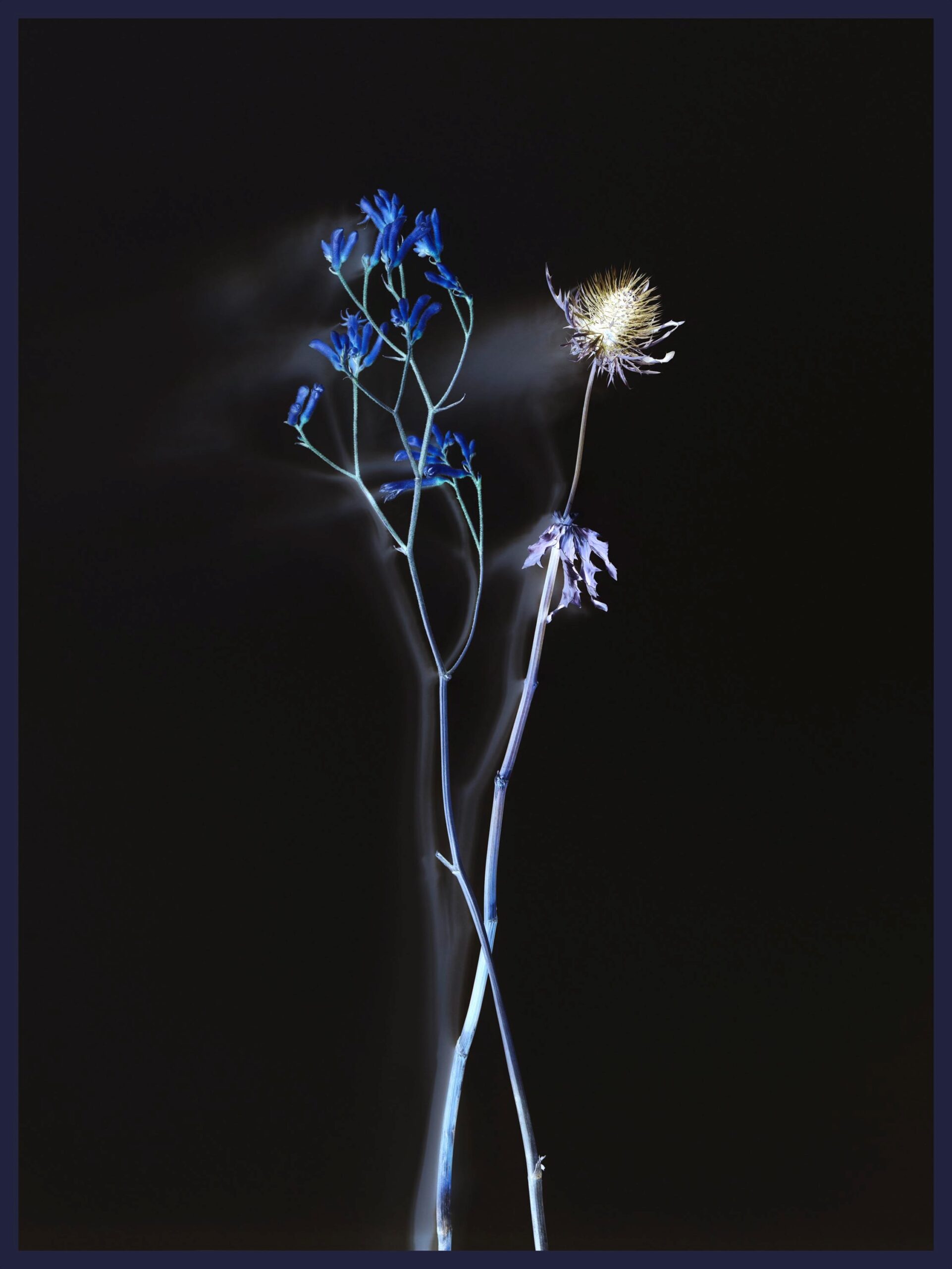 Axel Hütte | AKINCI - AKINCI Gallery