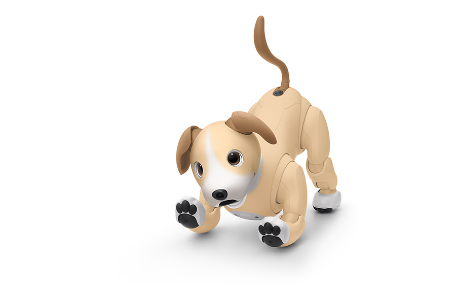 aibo きなこ エディション | aibo