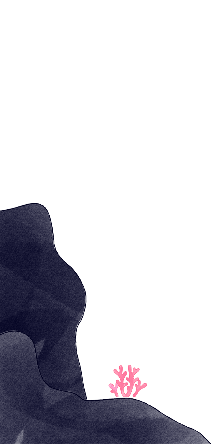 6th Transpain｜DISCOGRAPHY - 藍月なくる official site【公式サイト】