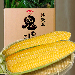 島田さんの鬼もろこし « あじたび シニア向け通販・情報サイト ｜ 全国