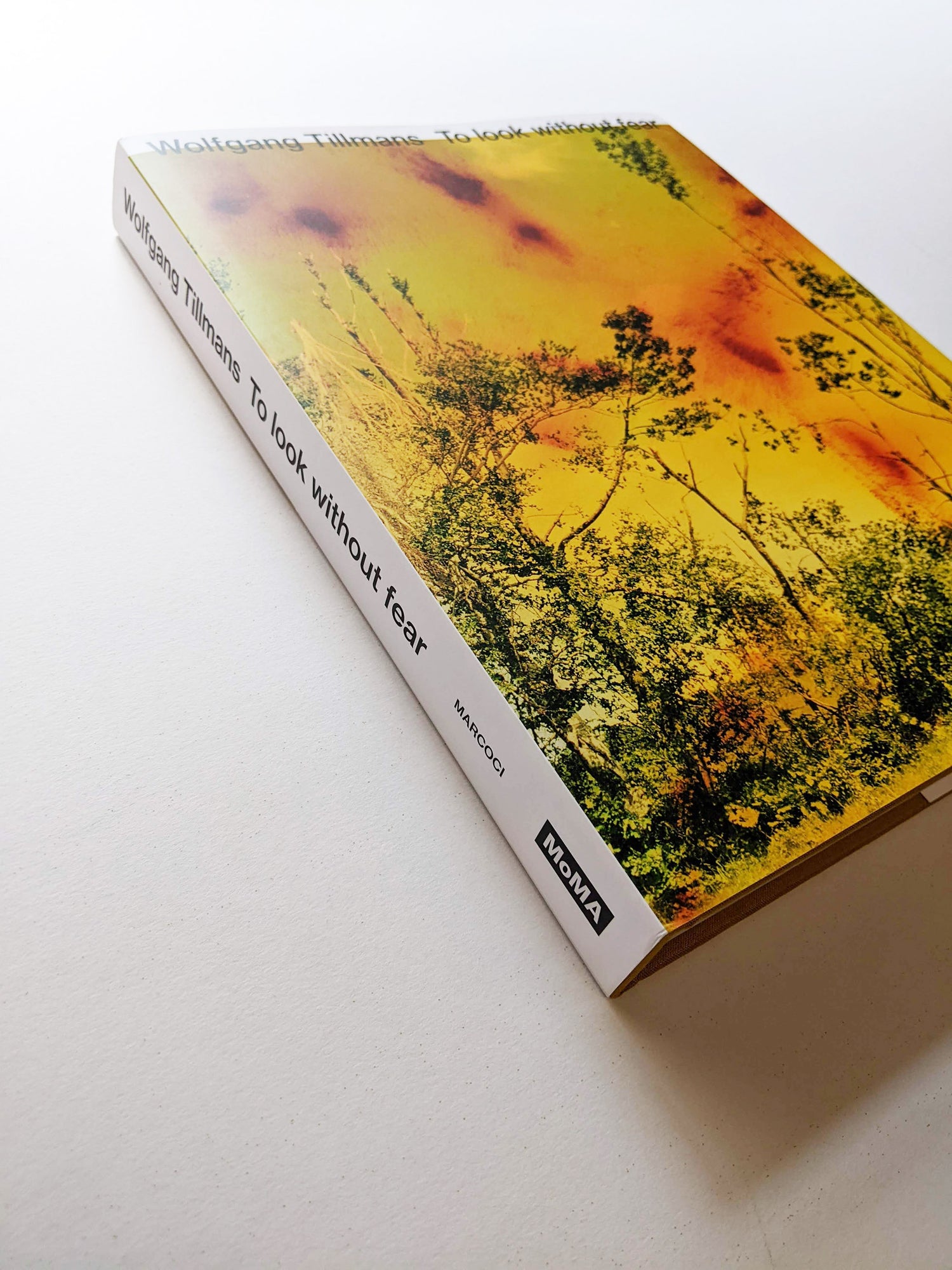 TO LOOK WITHOUT FEAR / Wolfgang Tillmans - 本 屋 青 旗 Ao-Hata