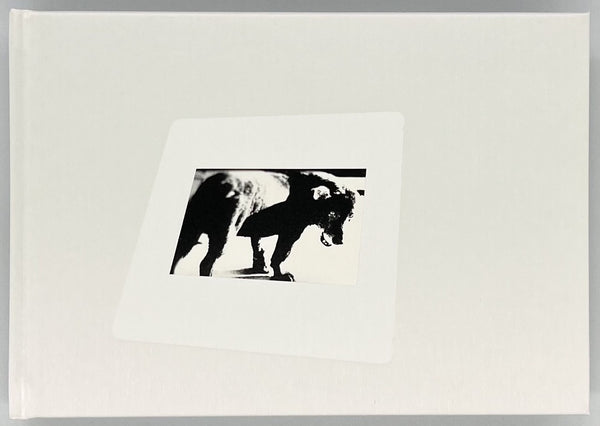 r_b8132e23-597a-415b-9ed6-