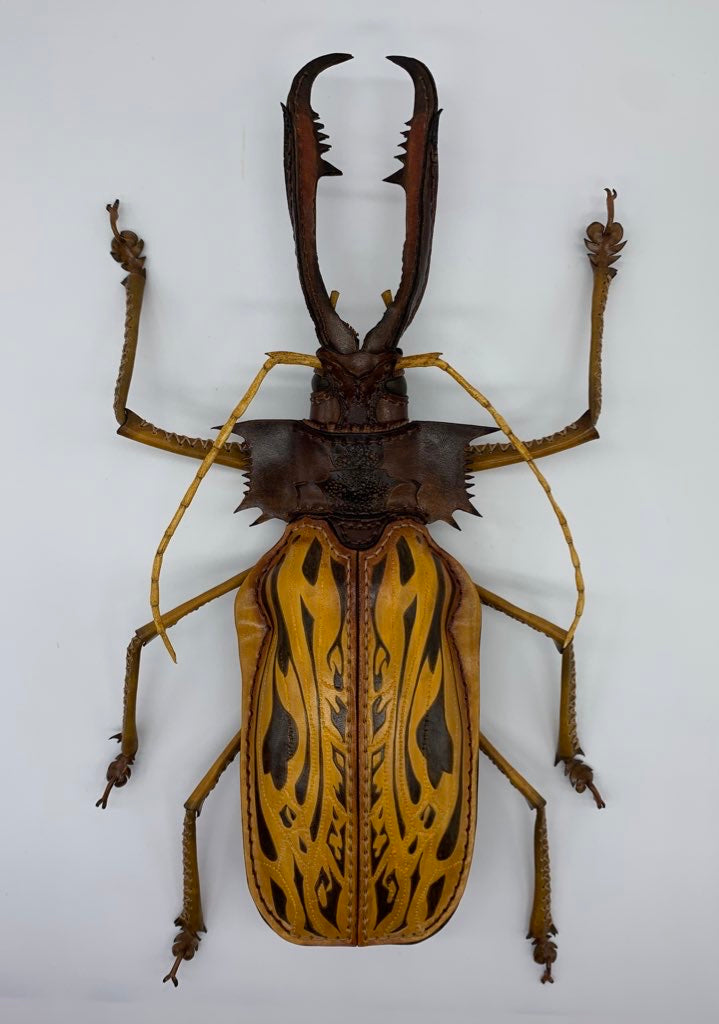 オオキバウスバカミキリの網切り鋏ケース – あまのじゃくとへそまがり