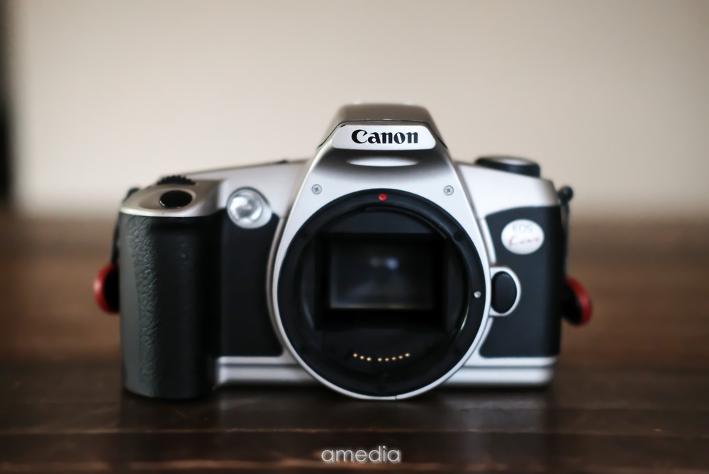 作例とレビュー】フィルムのNewEOSkissは「使いやすい・安い・軽い」で