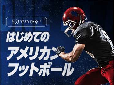 1971年（昭和46年） 活動38年目 | JAFA