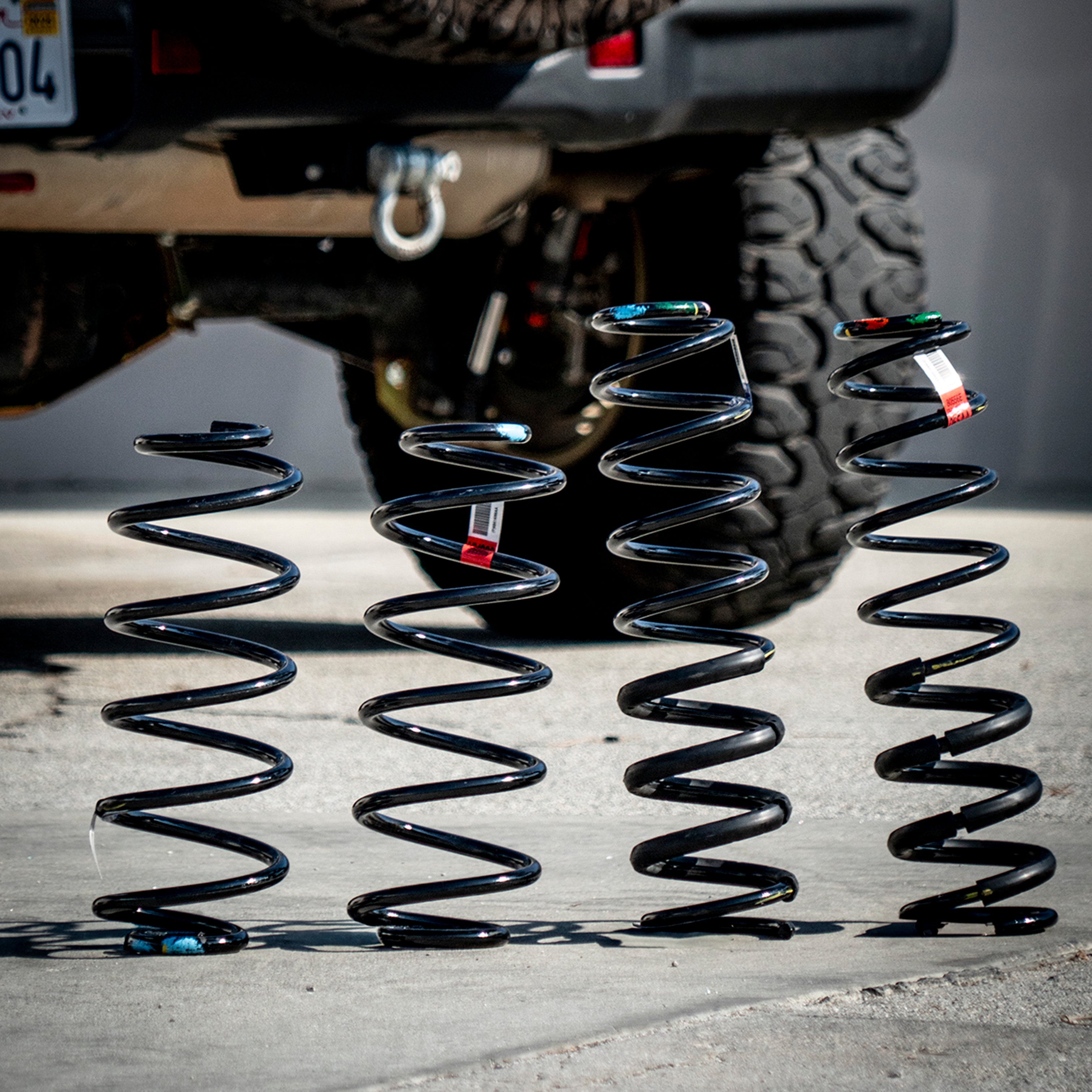 DSC02483_1.jpg?v=1733839123&