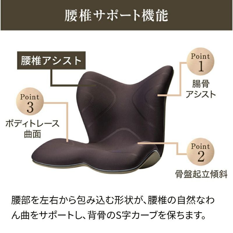 Style（スタイル） スタイルプレミアム ブラウン | Amingオンライン