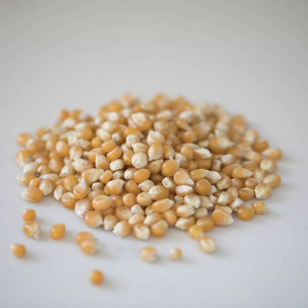 mushroom-kernels__09203_grande