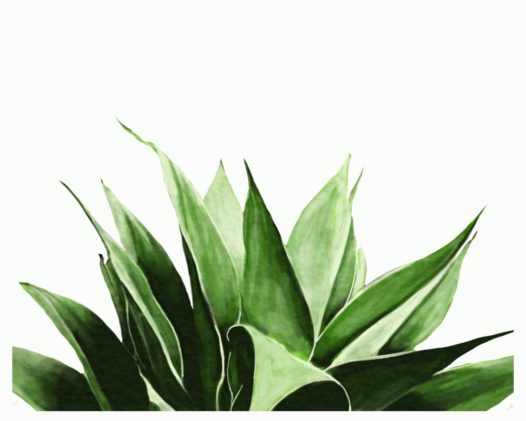 mam❤︎selectアロハデメレ4点 All products - Aloha de Mele