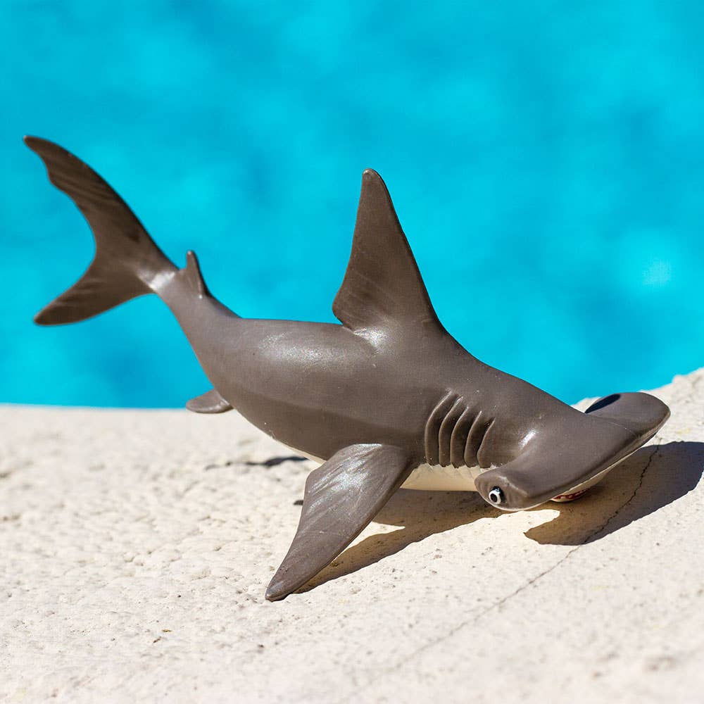 Hammerhead Shark Baby - 267929