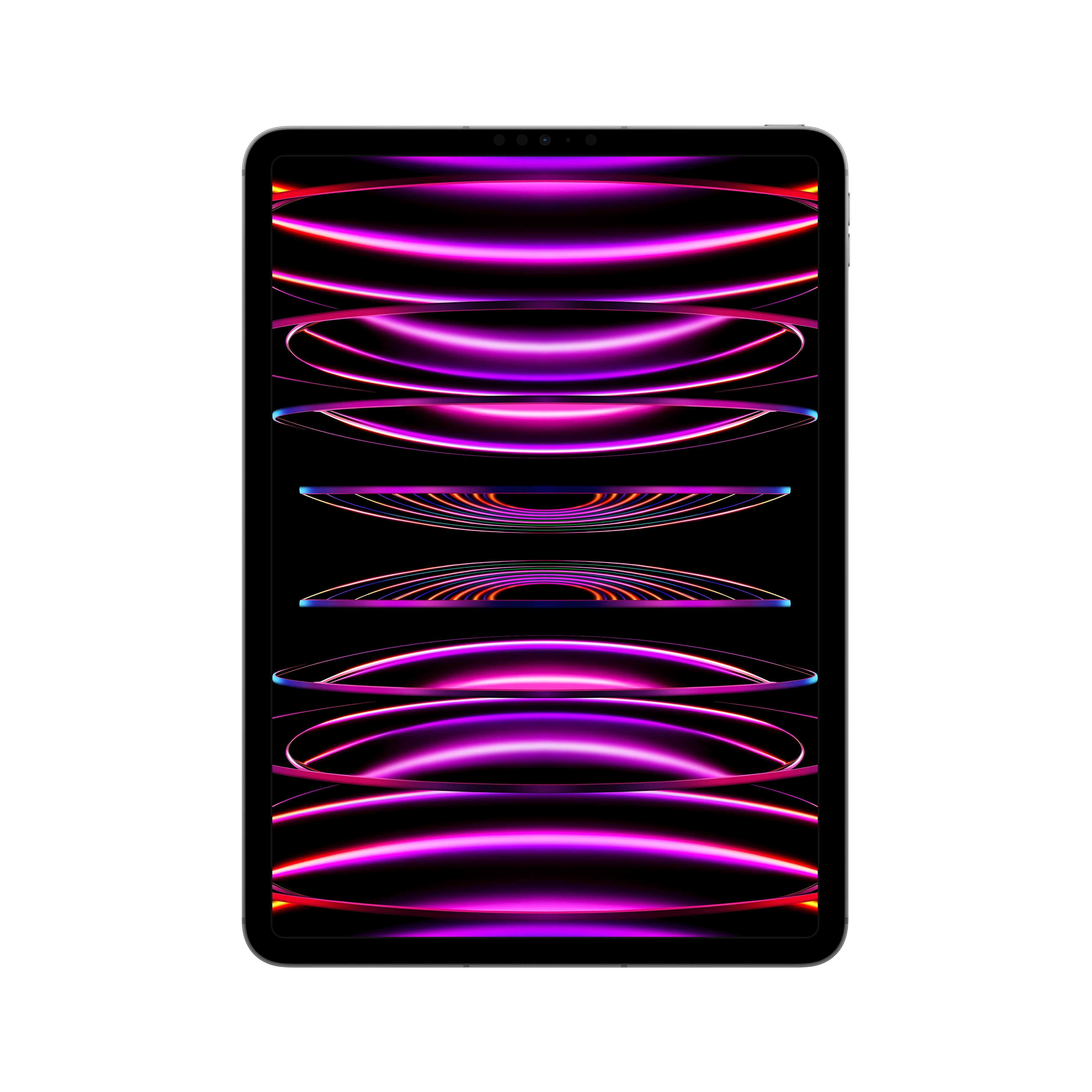 2022 11-inch iPad Pro Wi-Fi + Cellular 256GB - Space Grey (4th