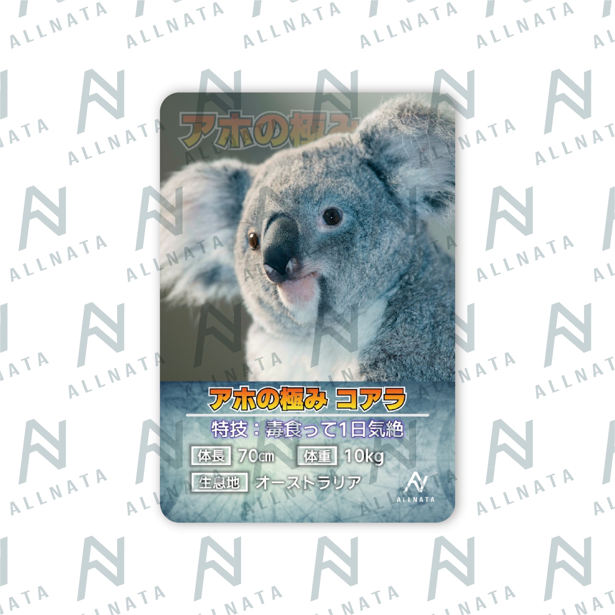 アホの極み コアラ Tシャツ（オリジナルカード付）