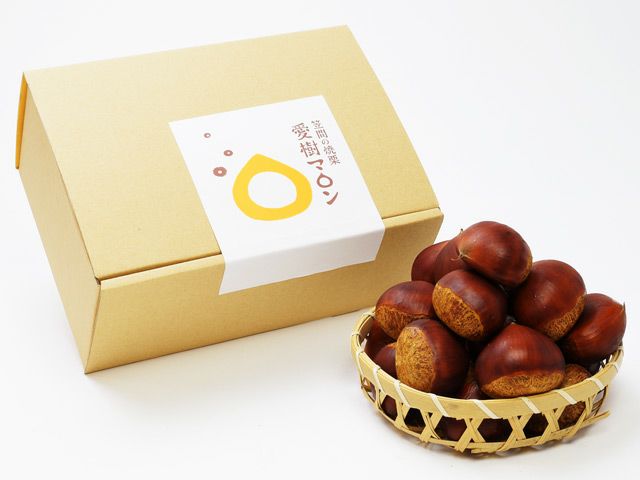 000000015948-01-l.jpg?t=