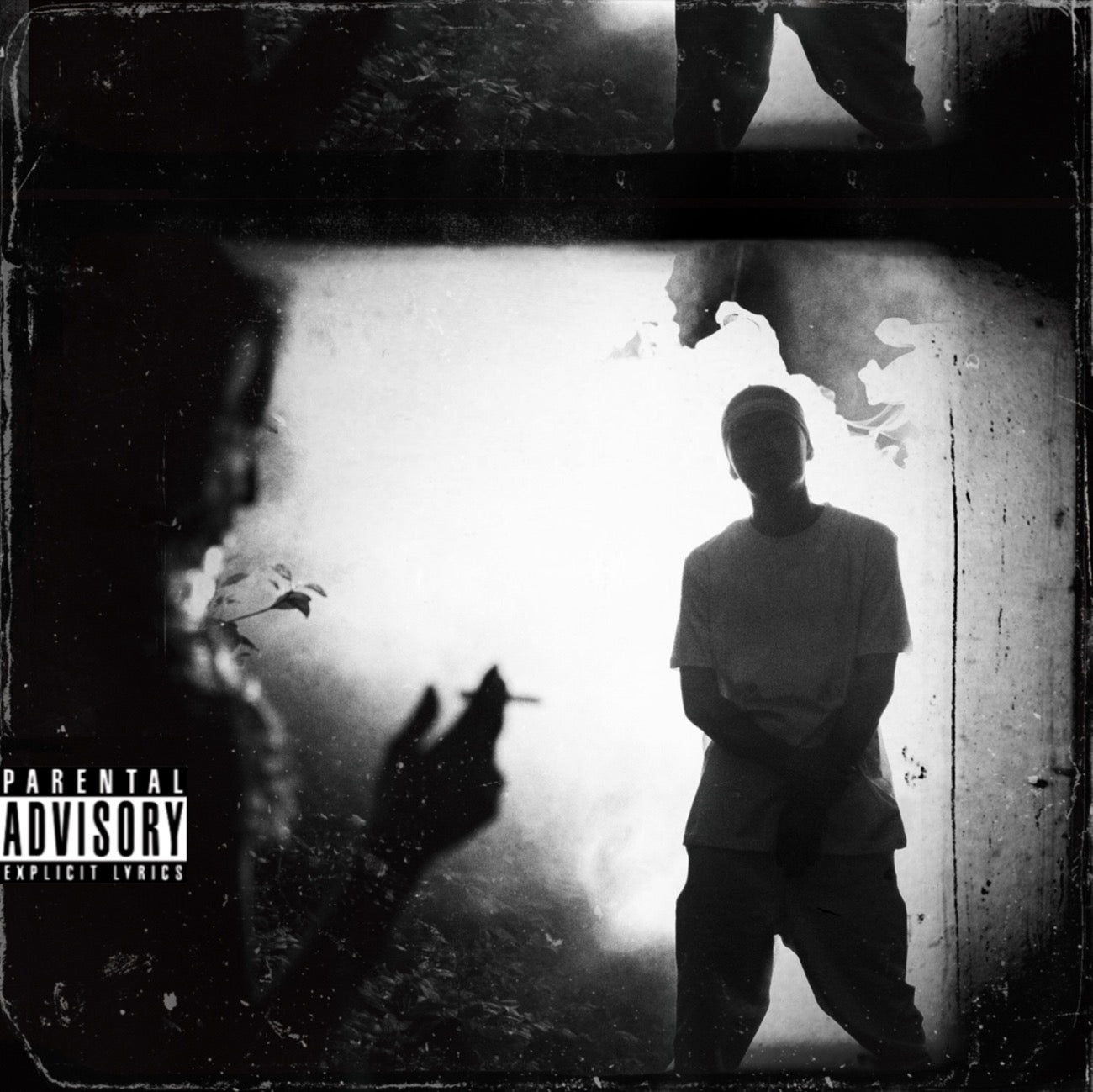 pcd28038.jpg?v=1731402953&