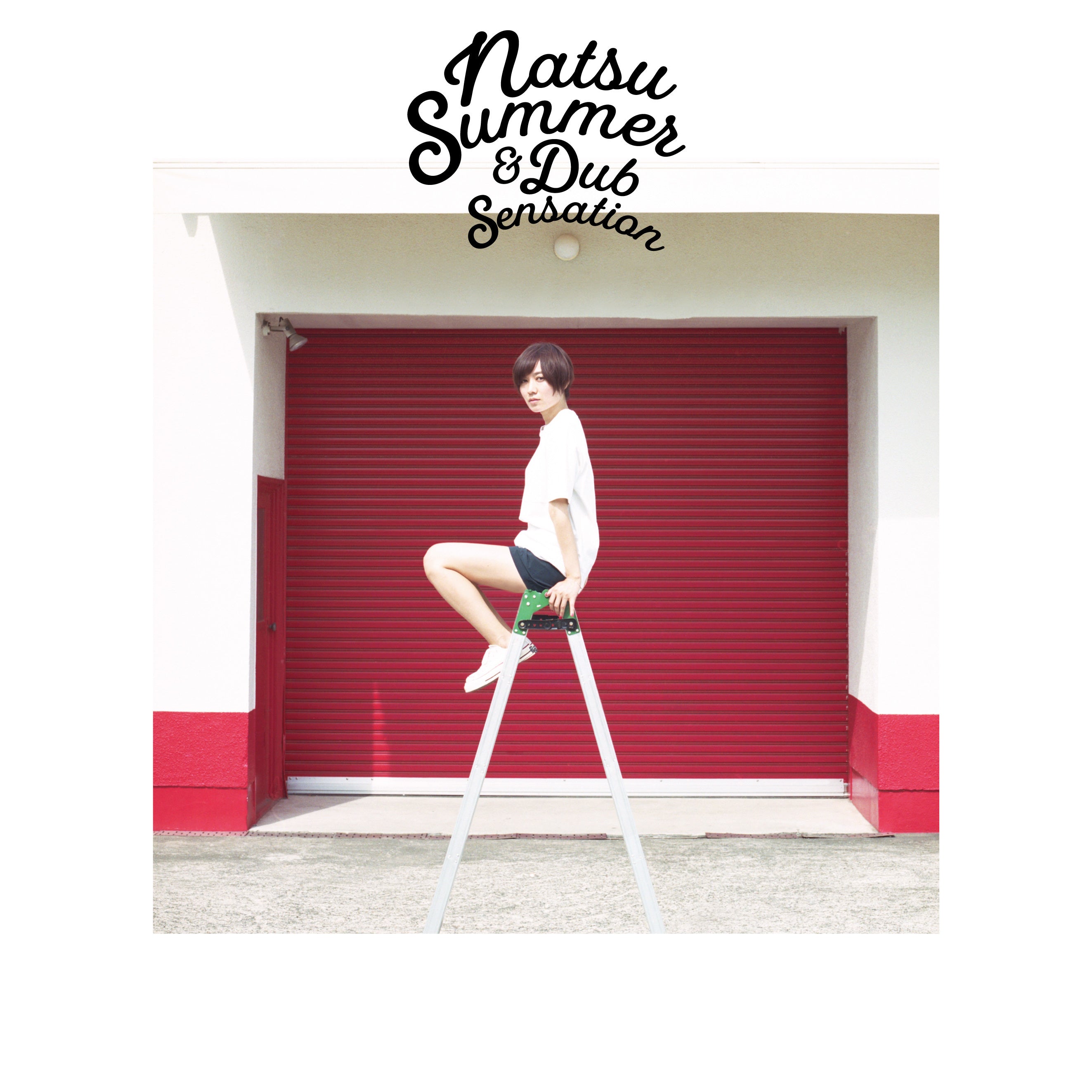 ナツ・サマー『ナツ・サマー＆ダブ・センセーション』 LP