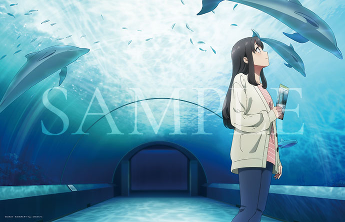 Blu-ray&DVD | 青春ブタ野郎はサンタクロースの夢を見ない