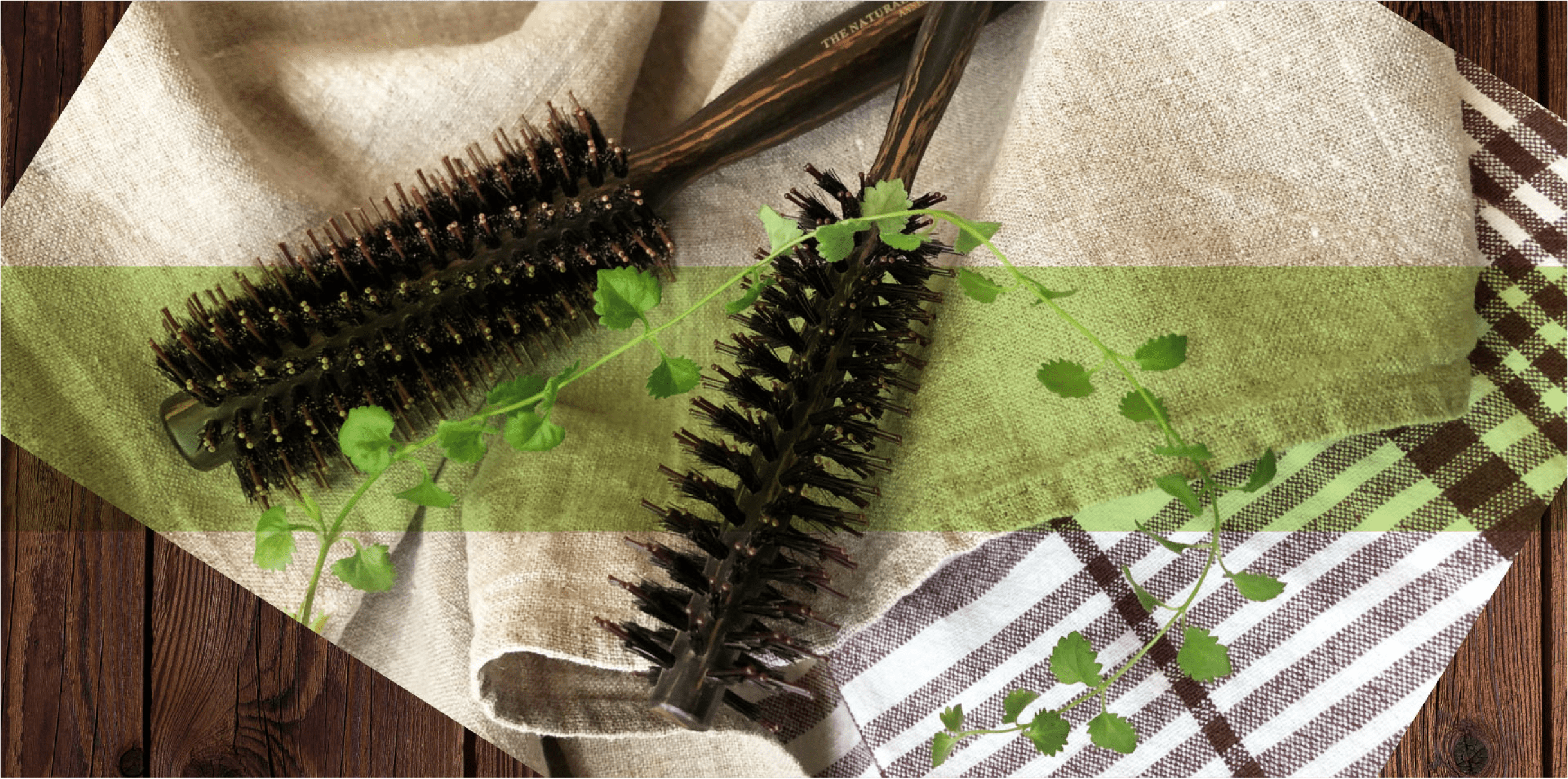 DS-485 デザイン折込セットコーム【JAN】4544434101835 | ANNECY