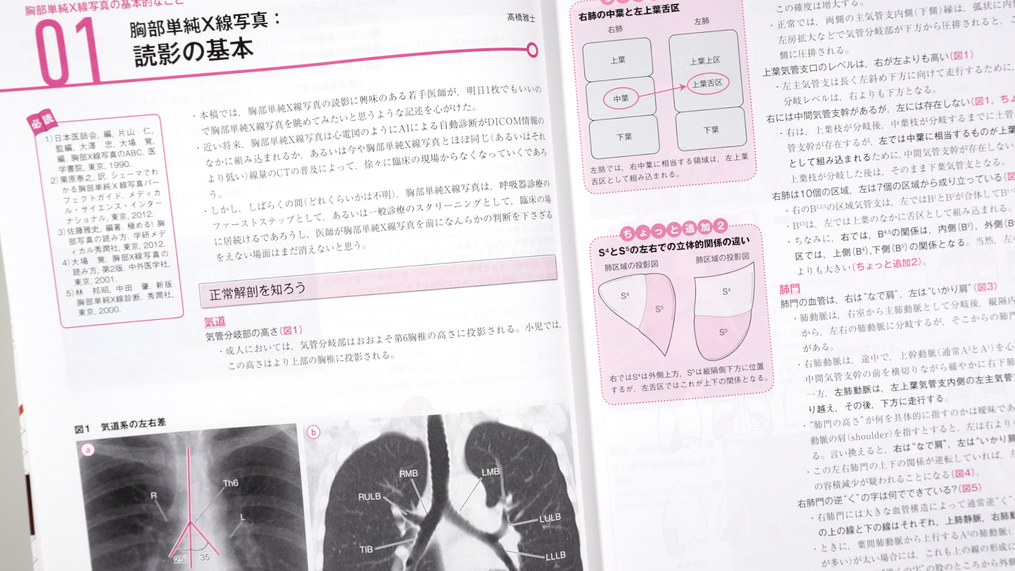 胸部 画像診断の勘ドコロNEO / Anatomy 今日も明日も/胸部 画像診断の