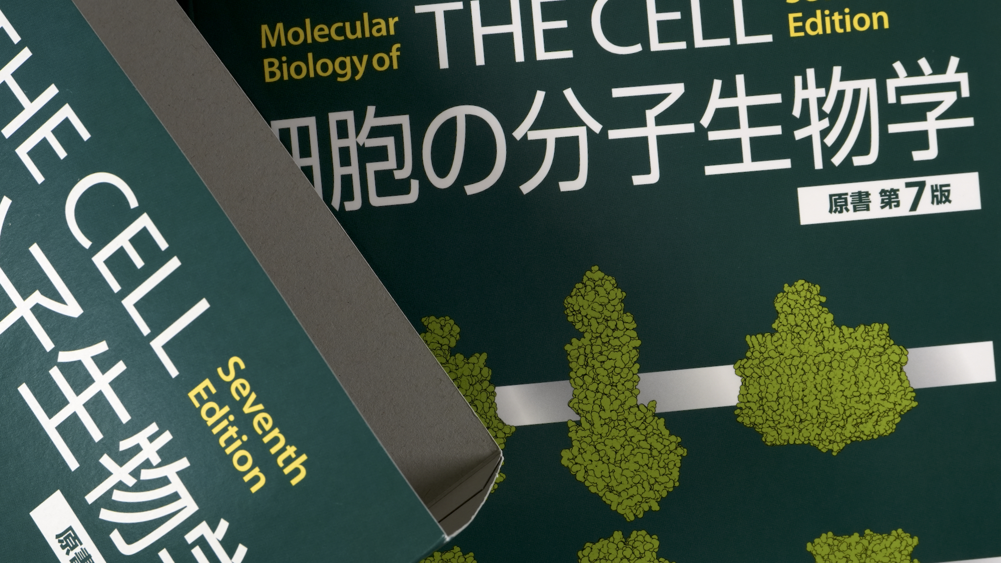 細胞の分子生物学 原著第7版 / Anatomy 今日も明日も/細胞の分子生物学