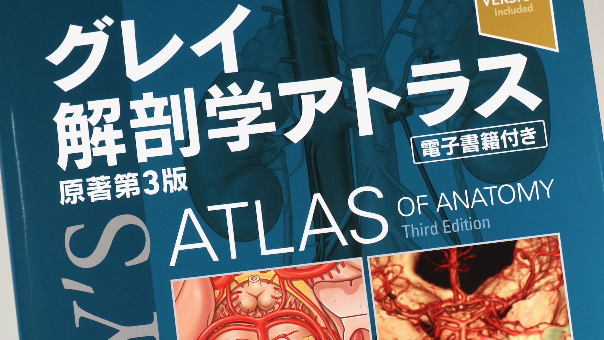 グレイ解剖学アトラス原著第3版 / Anatomy 今日も明日も/グレイ解剖学