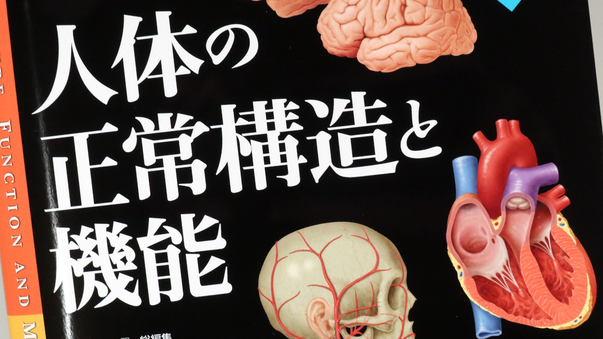 人体の正常構造と機能 全10巻縮刷版 改訂第4版 / Anatomy 今日も明日も