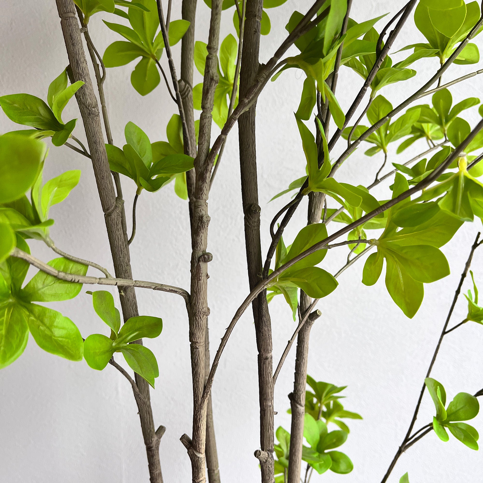 ドウダンツツジ 180cm- フェイクグリーン専用通販サイト – フェイク