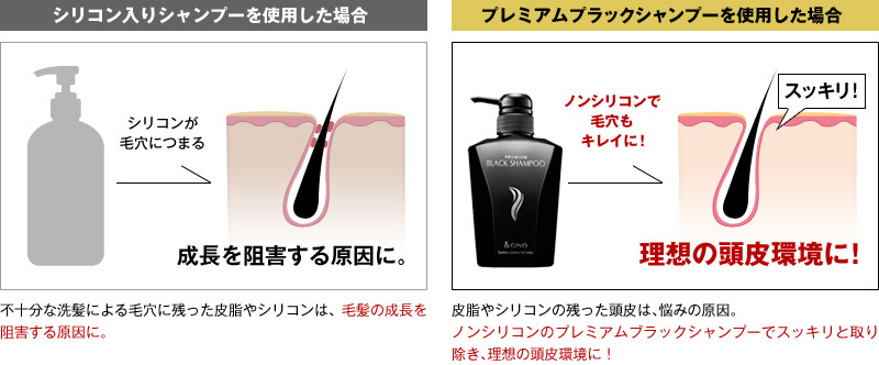 公式】 プレミアムブラックシャンプー