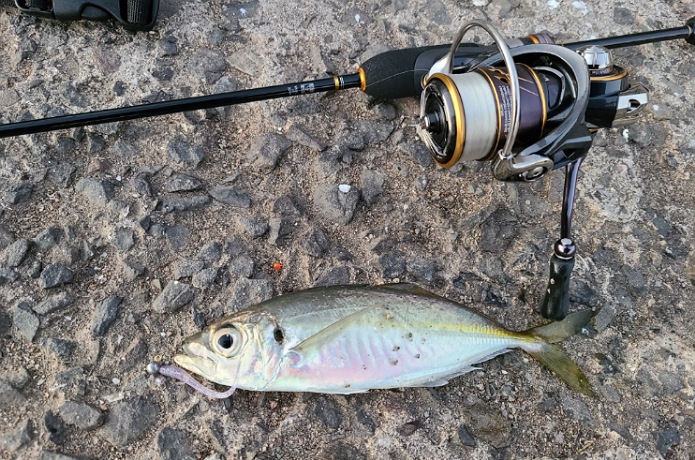 メジャークラフト】三代目クロステージ CRX-S694AJIをインプレ！コスパ