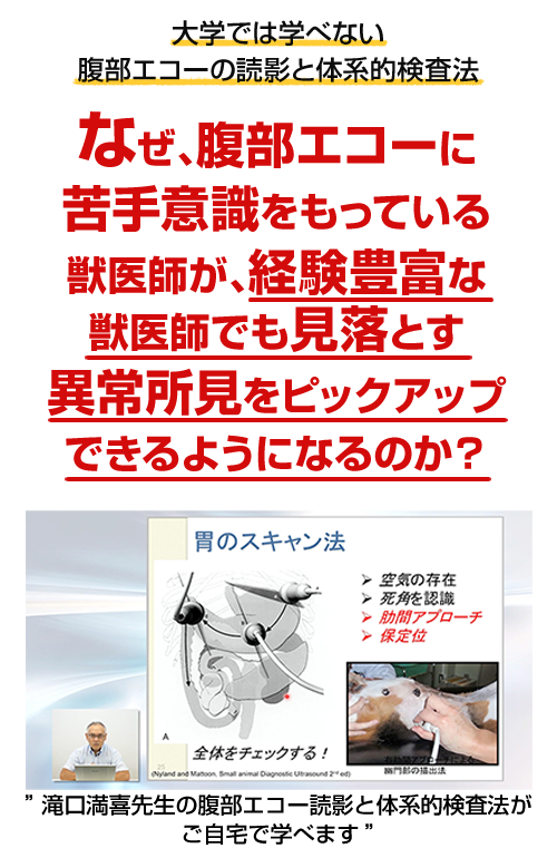 Dr.滝口の腹部エコー読影 エキスパートメソッド | 株式会社 医療情報研究所
