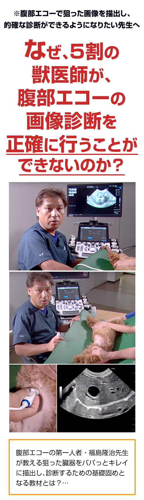 腹部エコー完全習得ガイド～Basic Learning～ | 株式会社 医療情報研究所