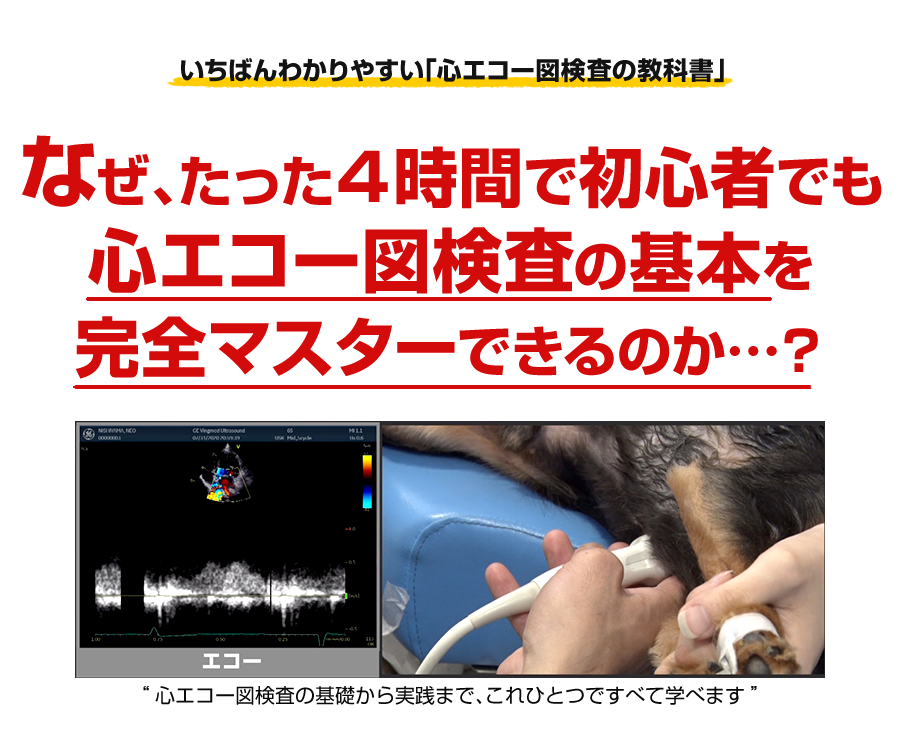 迷わない！心エコー図検査 | 株式会社 医療情報研究所
