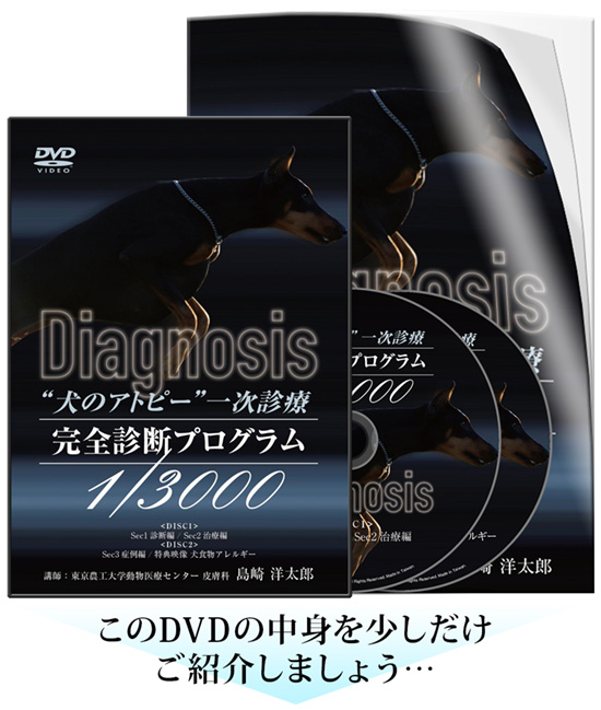 犬のアトピー”一次診療 完全診断プログラム 1/3000 | 株式会社 医療