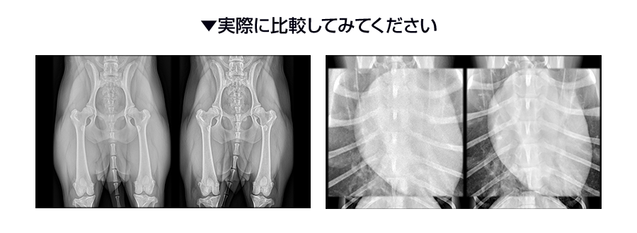 犬猫の診断力を上げるX線検査の極意 | 株式会社 医療情報研究所