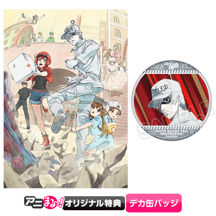 はたらく細胞／Blu-ray／特別編（オリジナル特典付・完全生産限定版