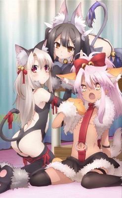 Fate/kaleid liner プリズマ☆イリヤ ツヴァイ！＆ヘルツ！ Blu-ray