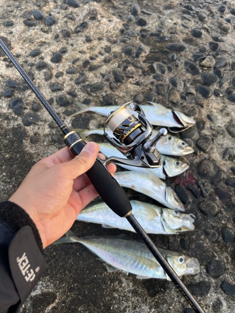 レガーメ牙突（ガトツ） XAG-6718の使用感やインプレ | 遊びを深掘りブログ