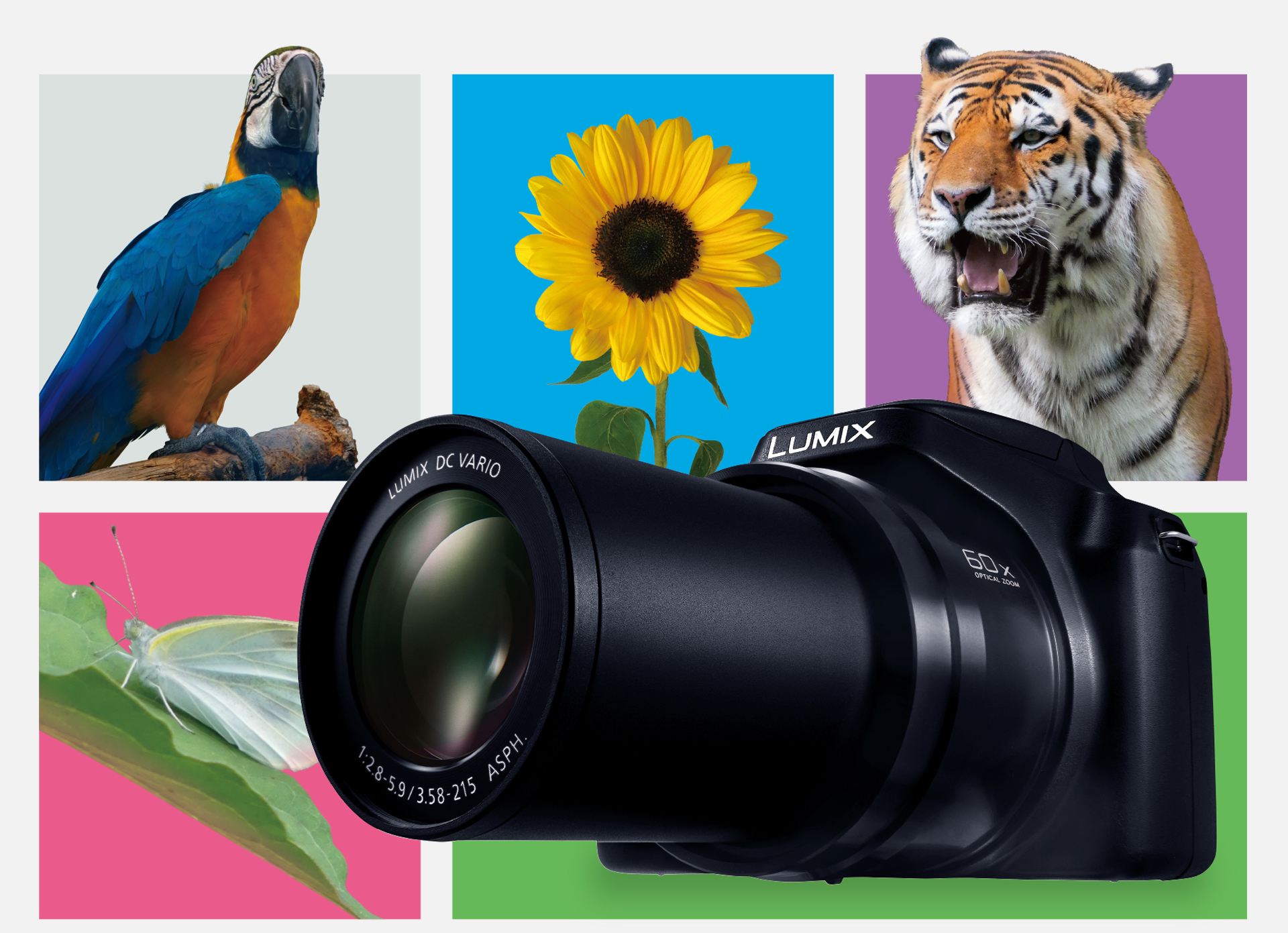 パナソニック LUMIX DC-FZ85D 予約販売開始 - とるなら