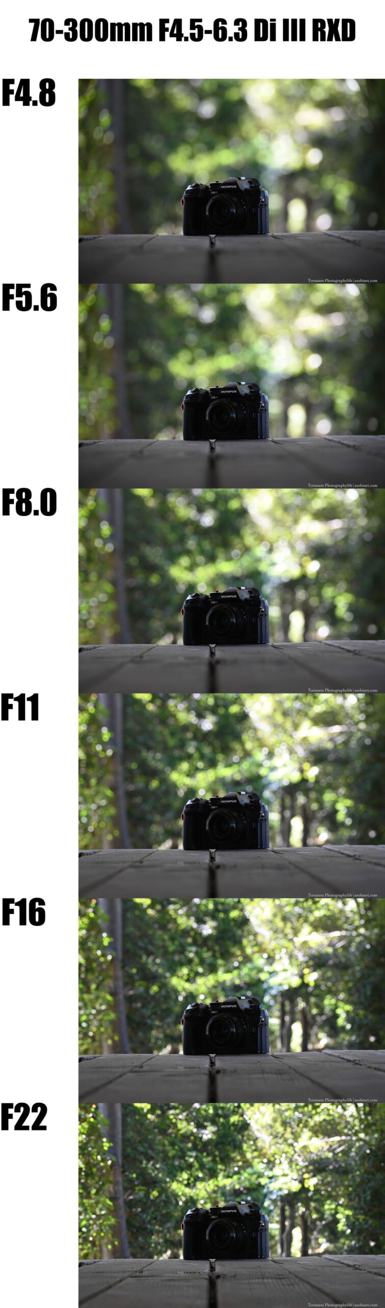 70-300mm F4.5-6.3 Di III RXD Z-mount レビューVol.4 ボケ編 - とるなら