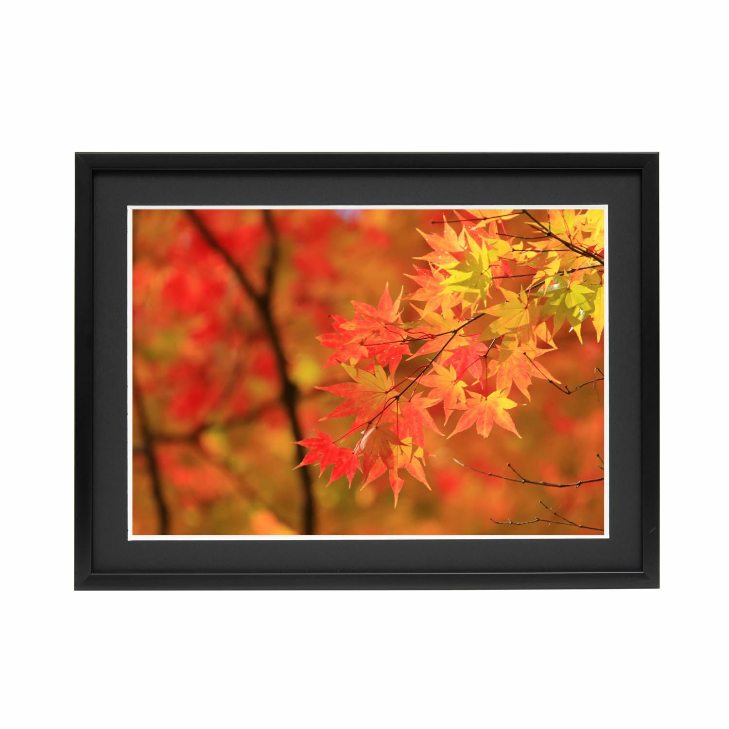 000000002025-01-l.jpg?t=