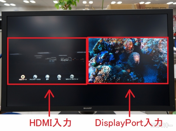 強烈な画質 IGZO液晶ディスプレー『PN-K321』が編集部に来た - 週刊