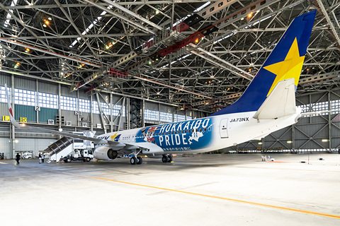 スカイマーク、北海道日ハムコラボ機「ファイターズジェット」を