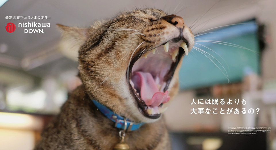 羽生結弦のあくび写真で思わず眠たくなる、東京メトロ日比谷線