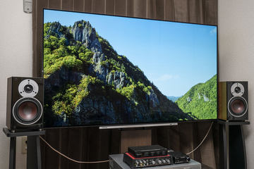 プレイバック2018】有機EL REGZAで自宅初4K。「リズと青い鳥」で散財