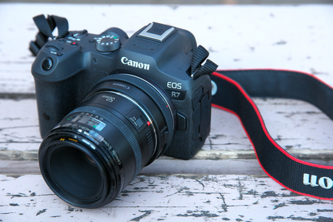 私はこれを買いました！：小型軽量、EFレンズも快適に使える優等生