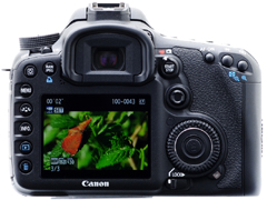 特別企画：キヤノン「EOS 7D」の動画機能を試す - デジカメ Watch Watch